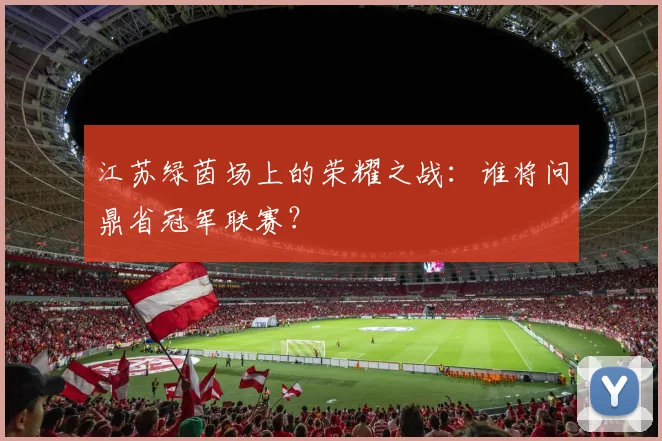 江苏绿茵场上的荣耀之战:谁将问鼎省冠军联赛?