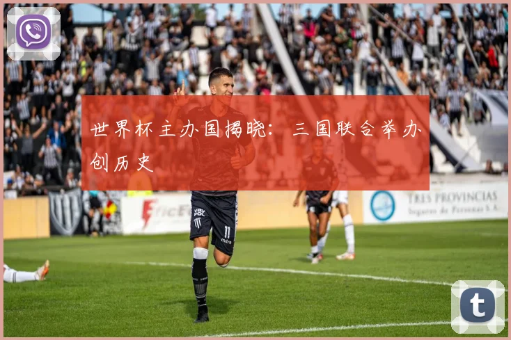 世界杯主办国揭晓：三国联合举办创历史