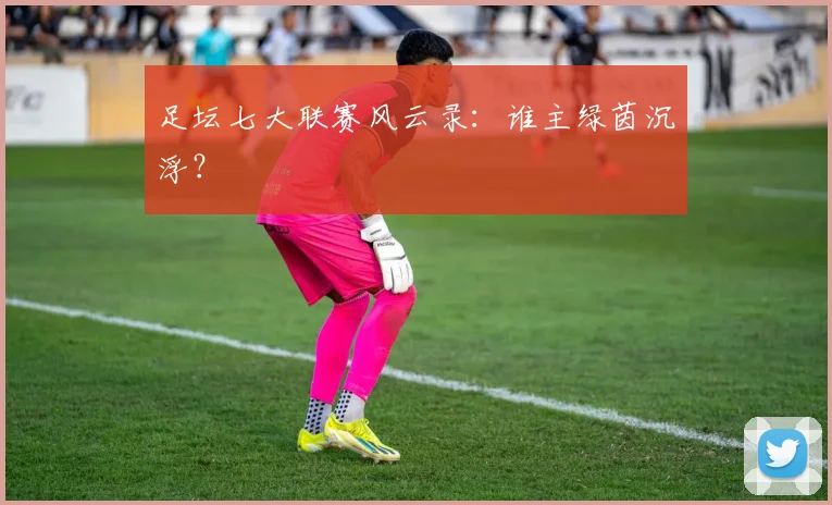 足坛七大联赛风云录：谁主绿茵沉浮？